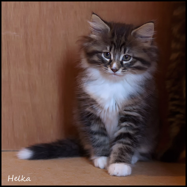 hel_57j_3.jpg - Helka, 57 jours