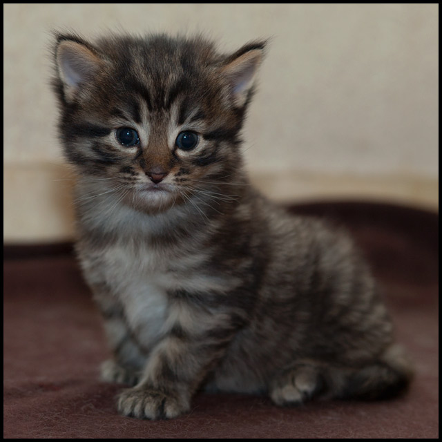heno_24j_1.jpg - Henora, 24 jours