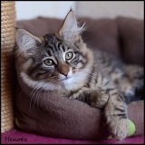 henora_3mois2