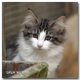 bella1_3mois