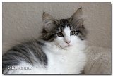 bella_10sem7