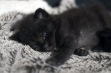 noir1-19j