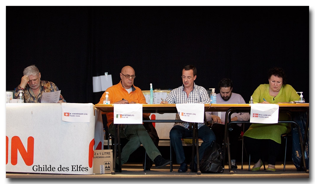 juges.jpg - Les juges : Mr Voehringer (CH), Mr Ottino (IT), Mr Henry (FR) et Mme Lund (DK)