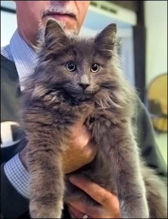 Inconnu2.jpg - Inconnu