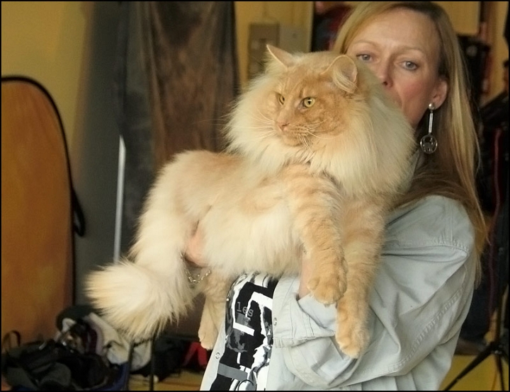 Redtails-Digory-Kirk1.jpg - Redtails Digory Kirk