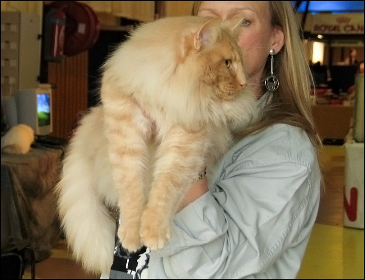 Redtails-Digory-Kirk2.jpg - Redtails Digory Kirk