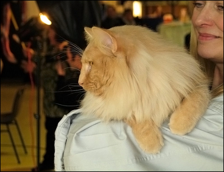 Redtails-Digory-Kirk8.jpg - Redtails Digory Kirk