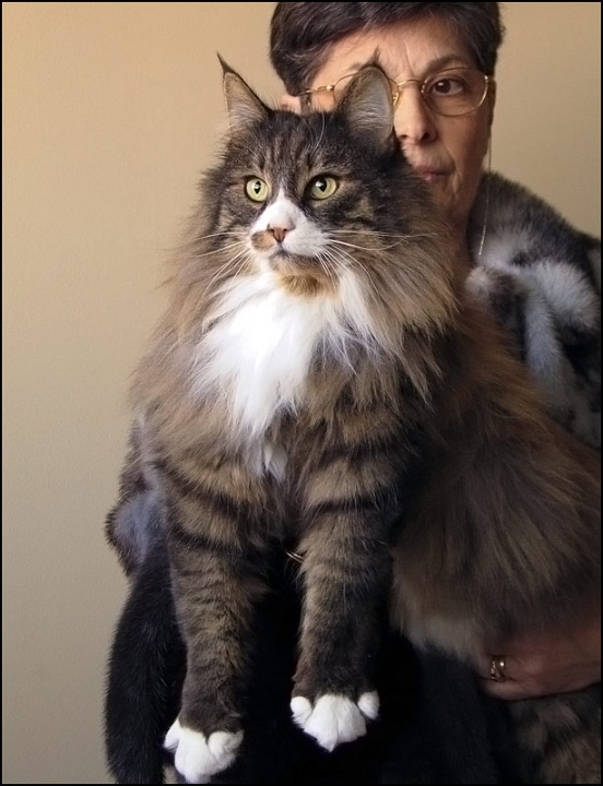 Suzy_Quatro_av_Fager2.jpg - Suzy Quatro av Fager