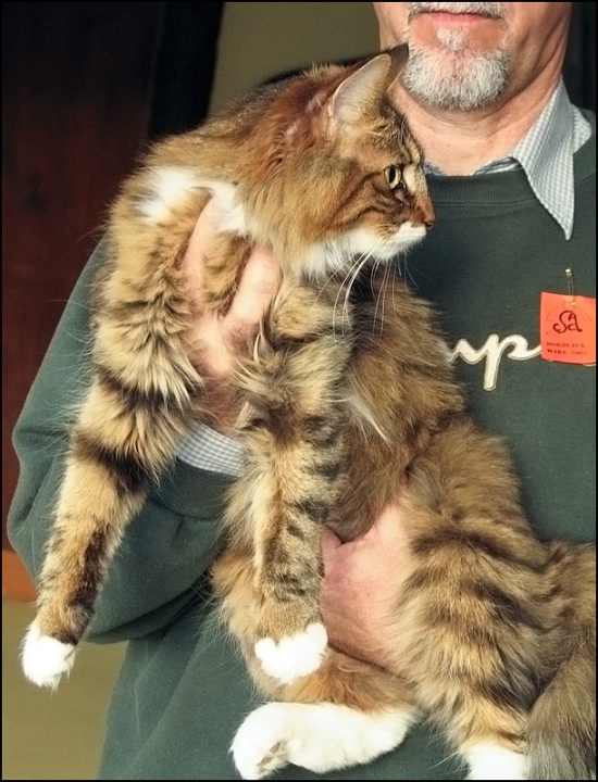 Vanesse-de-Barouk-Khazhad4.jpg - Vanesse de Barouk Khazhad