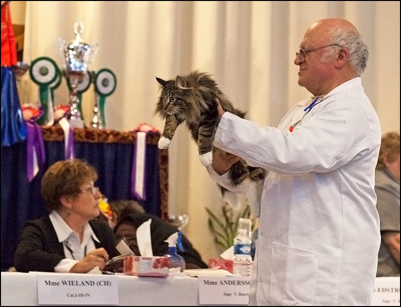 Herbon-Jakobusland-4.jpg - Herbon Jakobusland