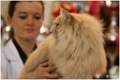 faune_podium1