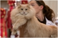 faune_podium2