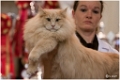 faune_podium3