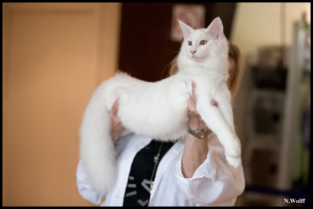 easy1.jpg - Wonderwoods Groovin'is Easy, BIS 3/6 mois dimanche