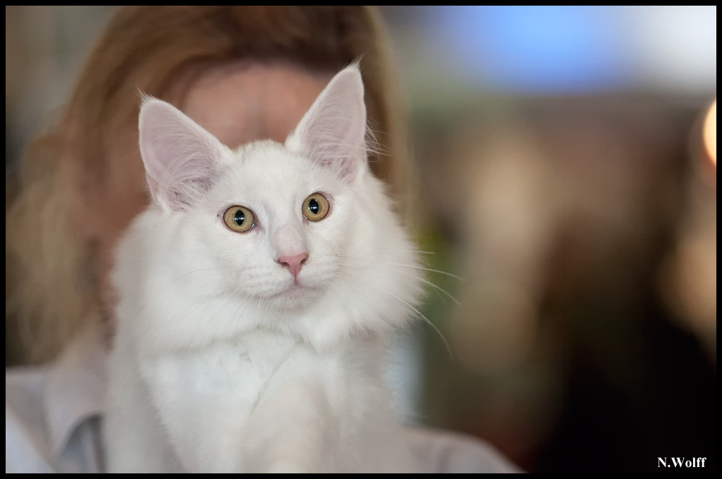 easy2.jpg - Wonderwoods Groovin'is Easy, BIS 3/6 mois dimanche