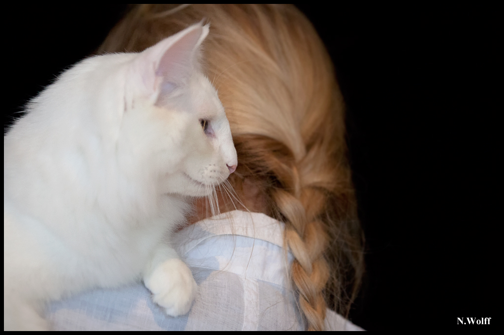 easy7.jpg - Wonderwoods Groovin'is Easy, BIS 3/6 mois dimanche