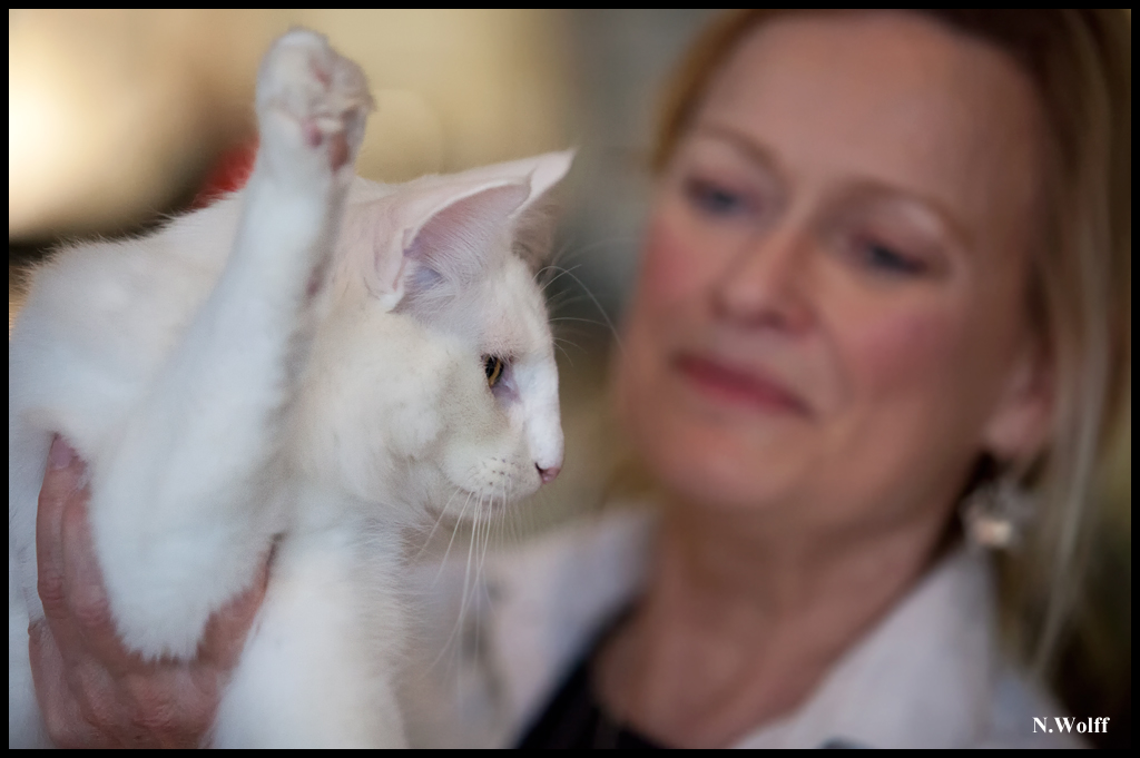 easy8.jpg - Wonderwoods Groovin'is Easy, BIS 3/6 mois dimanche