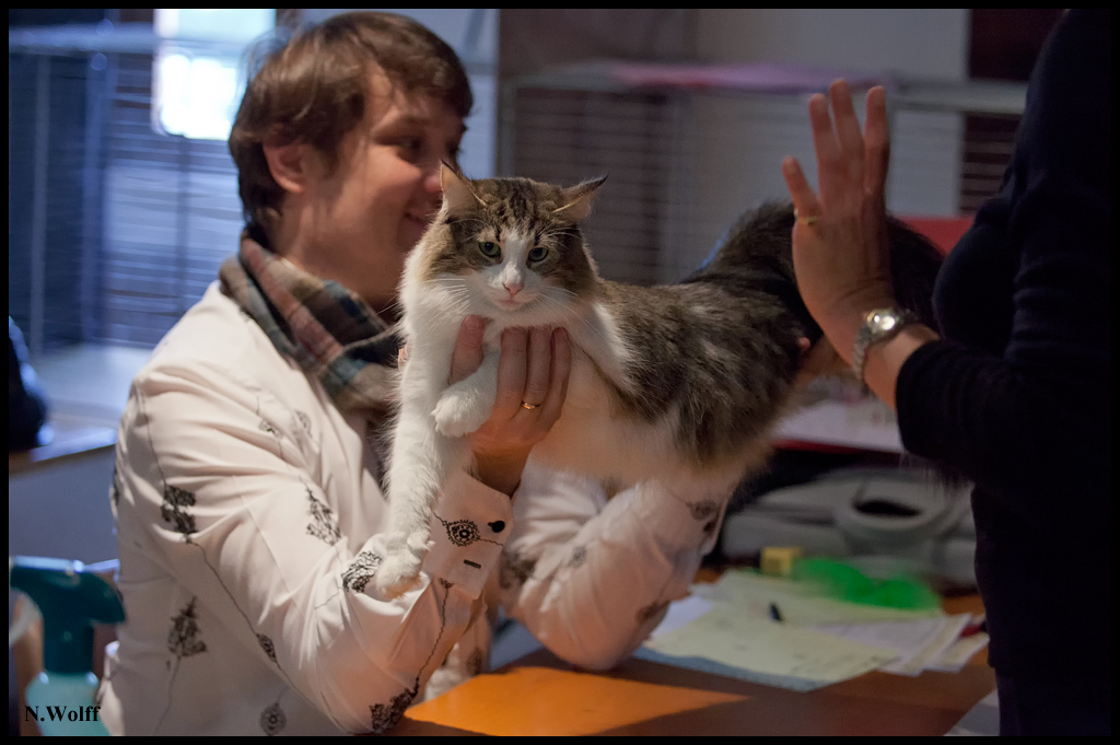 fedora4.jpg - Fedora de Laïloken