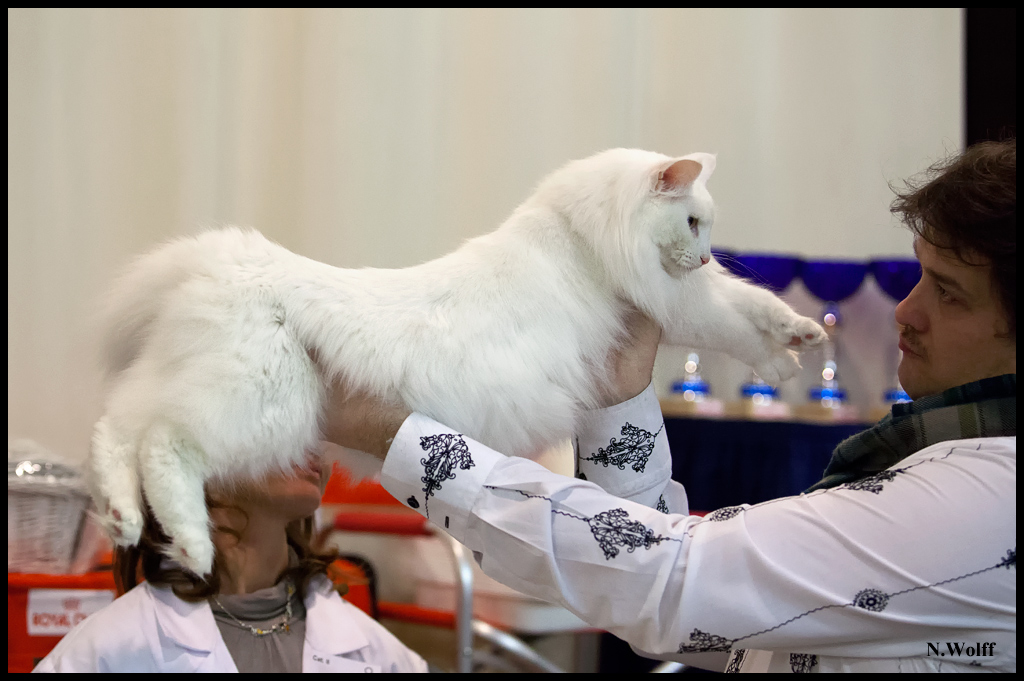 fill1.jpg - Wonderwoods Fill My Eyes, BIS/BOB 2ème samedi, BIS dimanche