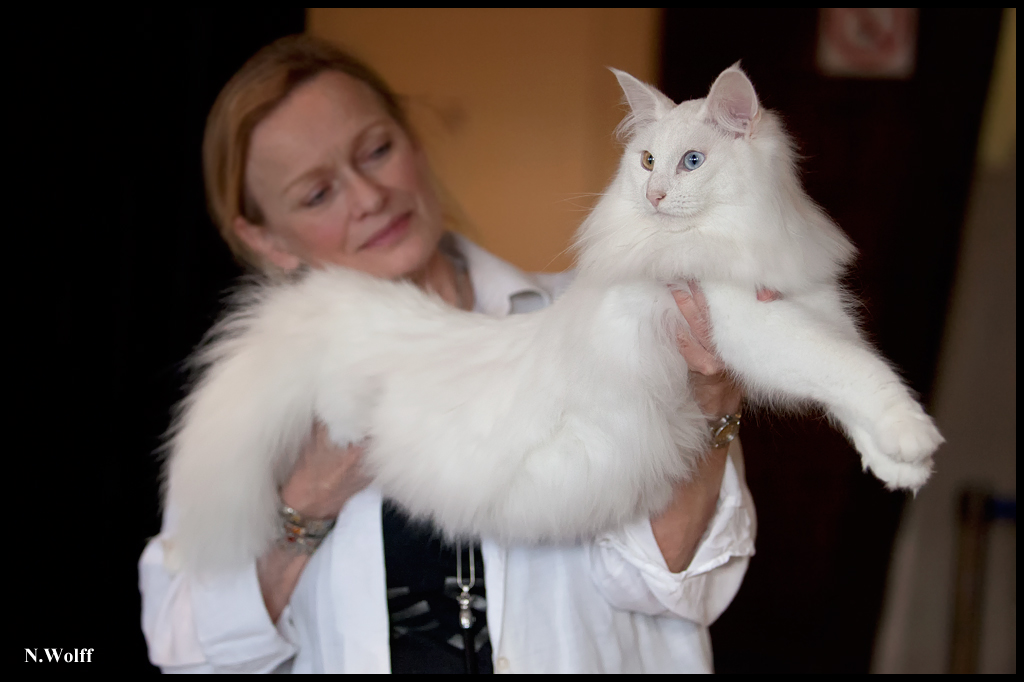 fill12.jpg - Wonderwoods Fill My Eyes, BIS/BOB 2ème samedi, BIS dimanche