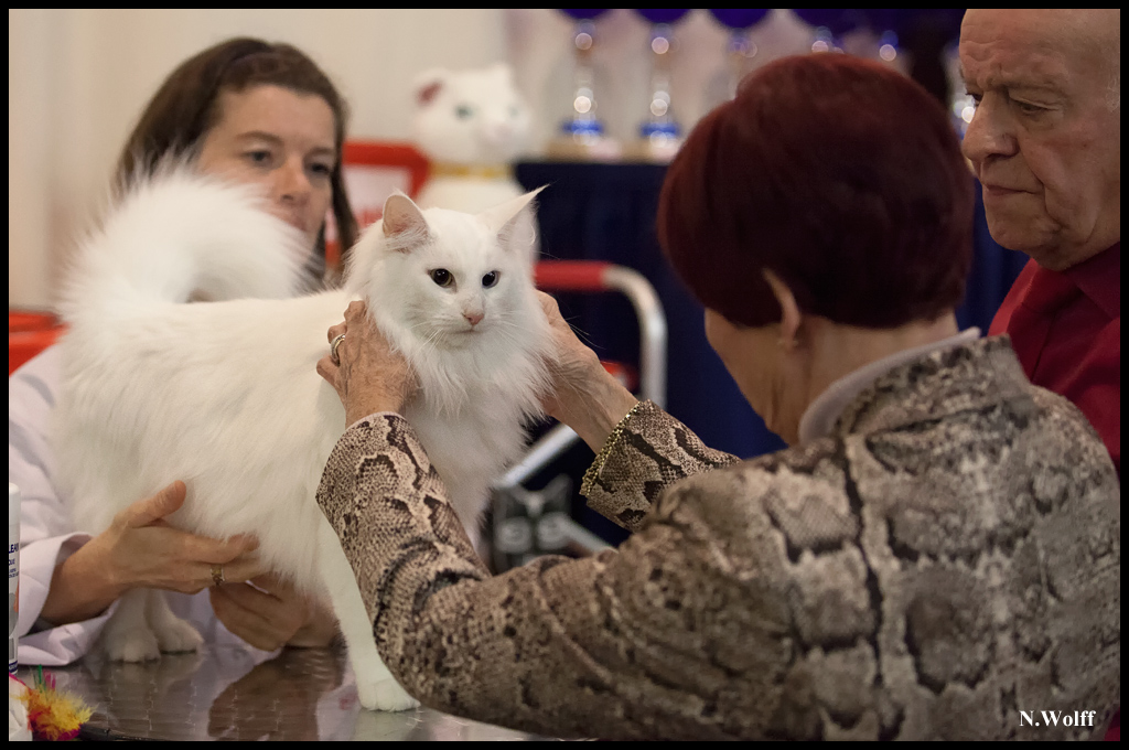 fill2.jpg - Wonderwoods Fill My Eyes, BIS/BOB 2ème samedi, BIS dimanche