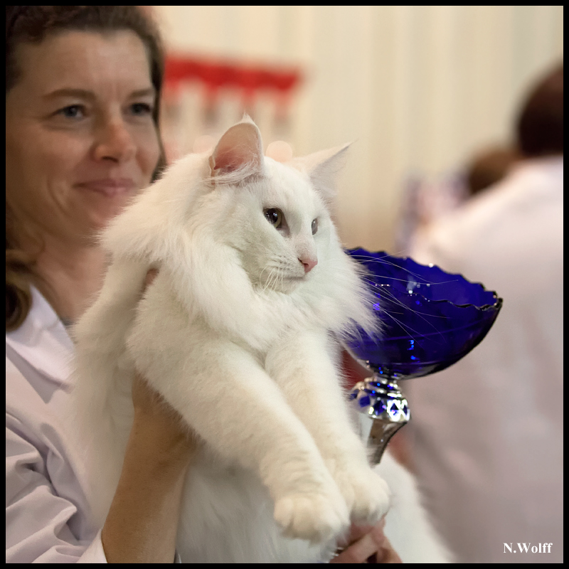 fill6.jpg - Wonderwoods Fill My Eyes, BIS/BOB 2ème samedi, BIS dimanche