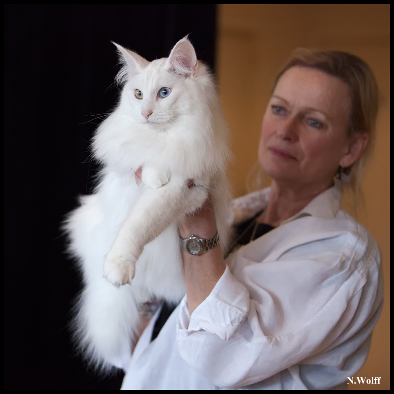 fill8.jpg - Wonderwoods Fill My Eyes, BIS/BOB 2ème samedi, BIS dimanche