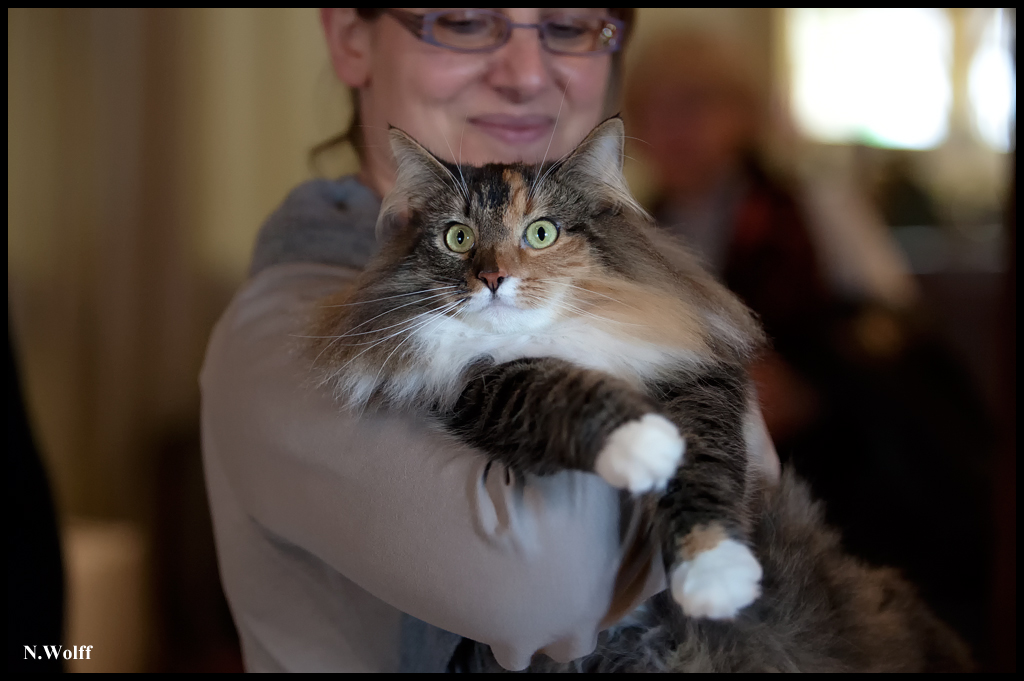 for_life3.jpg - For Fife de la Folidoki, Best Neutre Femelle samedi et dimanche