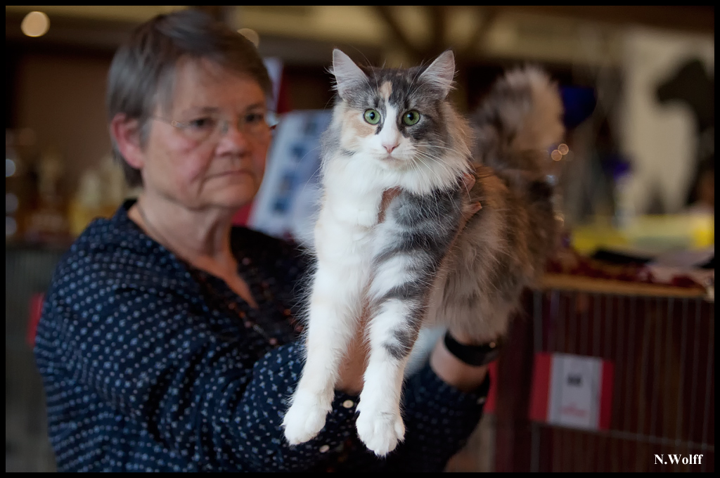 malvasia1.jpg - Malvasia La Peyre