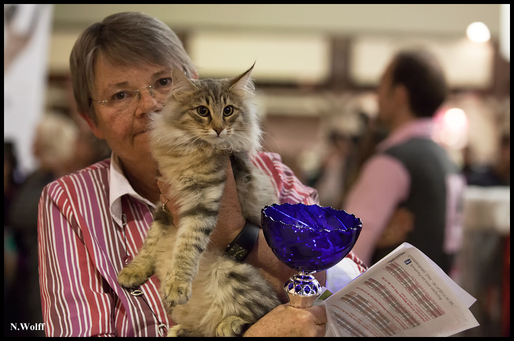 rhianna9.jpg - Nandinakatt's Rhianna, BIS 3/6 mois samedi