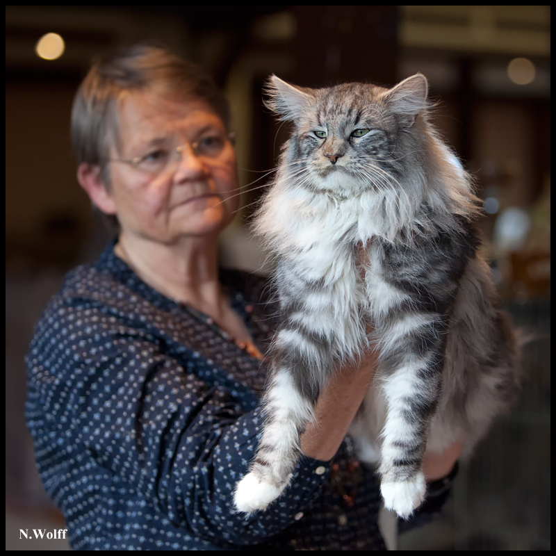 shadowshaman2.jpg - Vildhjartas Rhasta Shadowshaman