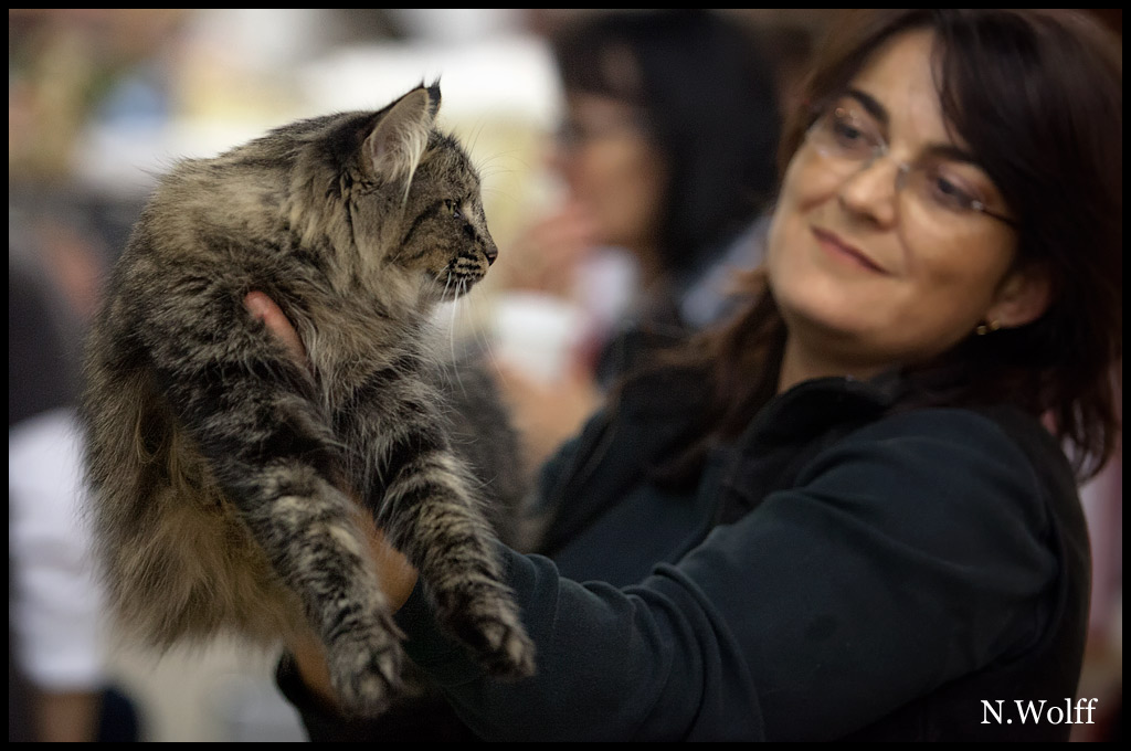 elhora2.jpg - Elhora du Domaine des Comtes de Moscone, femelle adulte