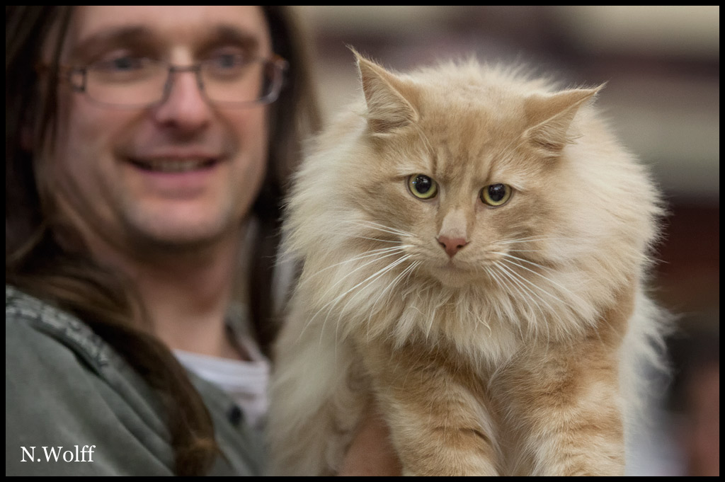 gallaghan1.jpg - Gallaghan du Domaine des Comtes de Moscone, mâle neutre