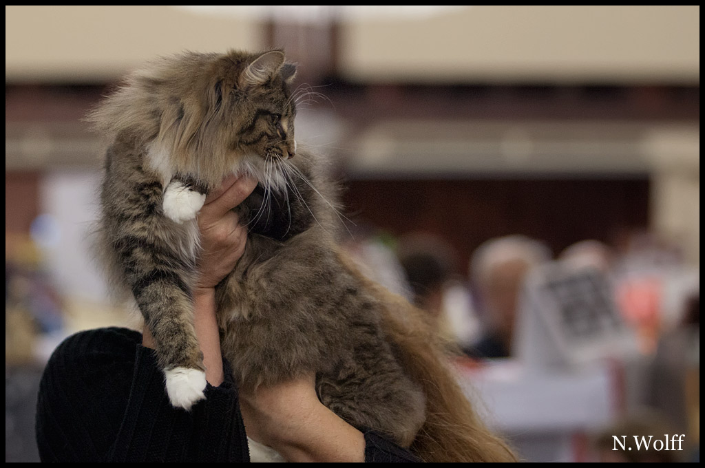 helka2.jpg - Helka de la Ghilde des Elfes, 6/10 mois