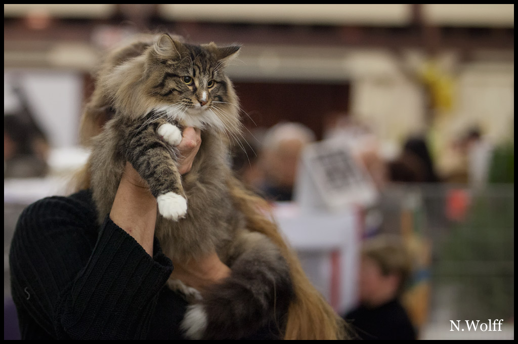 helka3.jpg - Helka de la Ghilde des Elfes, 6/10 mois