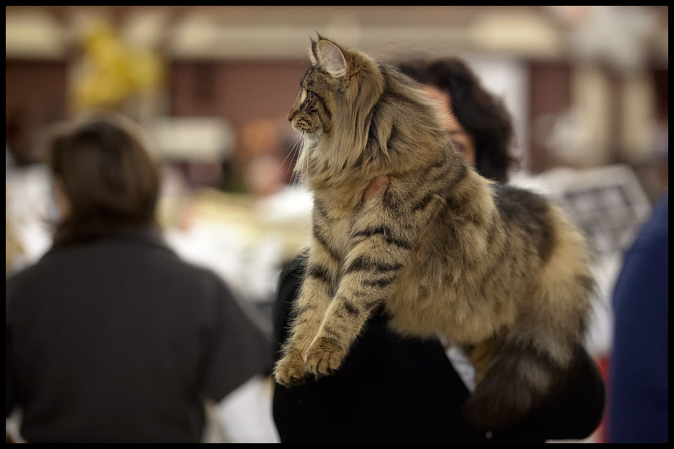 henora2.jpg - Henora de la Ghilde des Elfes, 6/10 mois