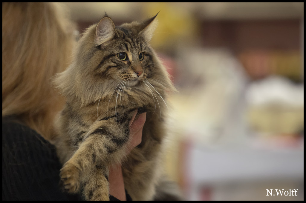 henora4.jpg - Henora de la Ghilde des Elfes, 6/10 mois