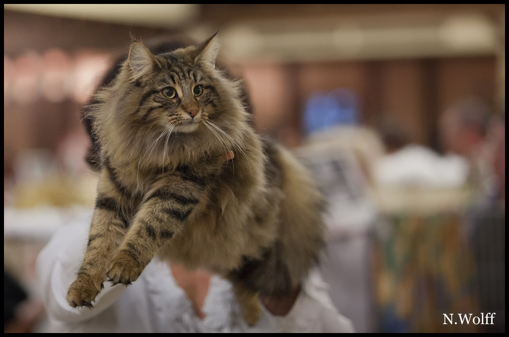 henora7.jpg - Henora de la Ghilde des Elfes, 6/10 mois