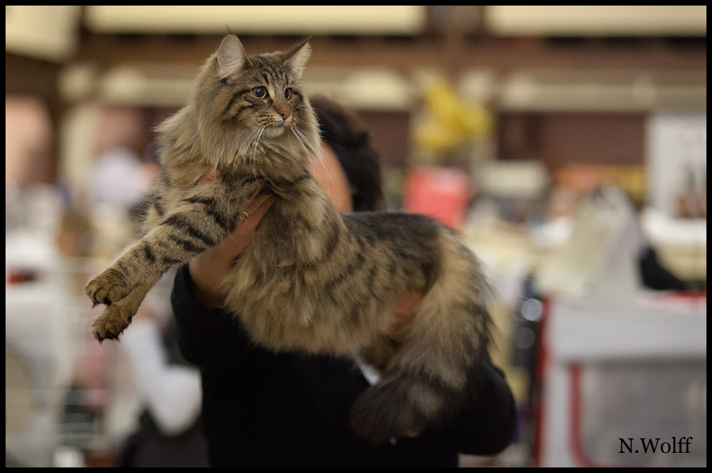 henora8.jpg - Henora de la Ghilde des Elfes, 6/10 mois