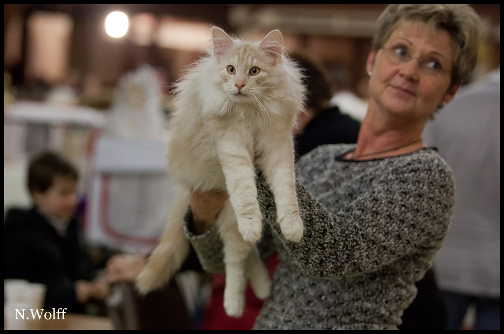 heros2.jpg - Heros du Domaine des Comtes de Moscone, 3/6 mois