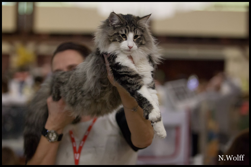 hestia3.jpg - Hestia du Royaume de Talmanis, 6/10 mois