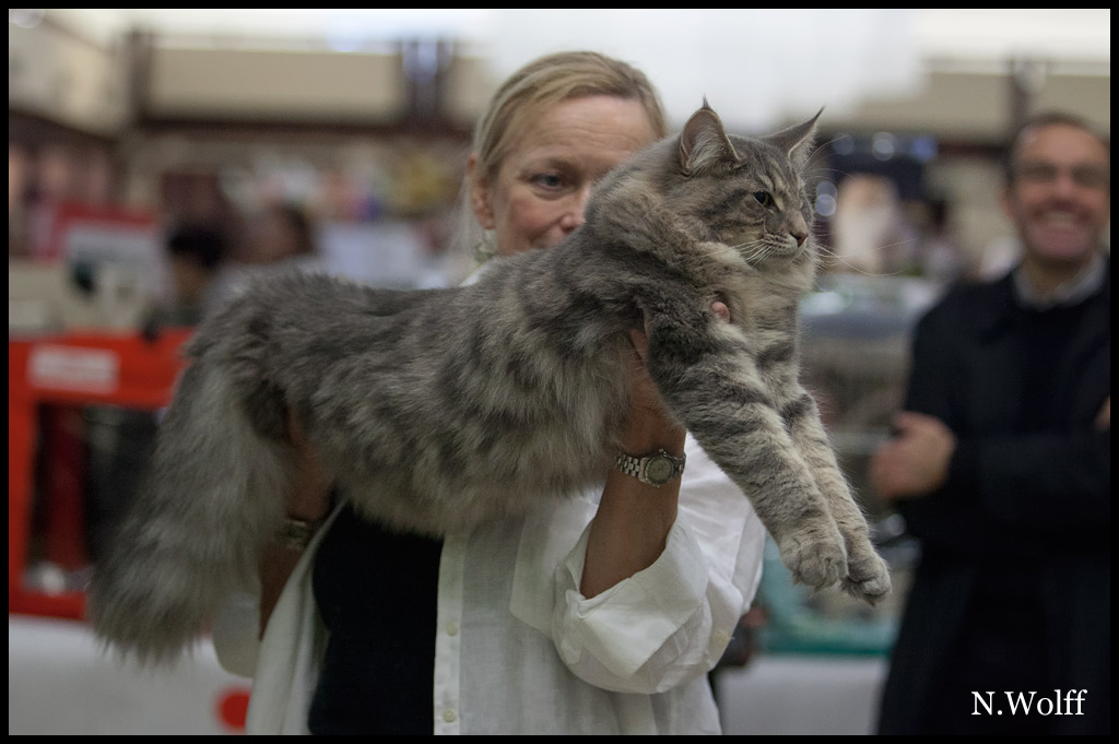 hotshot1.jpg - Wonderwoods Hot Shot, 6/10 mois