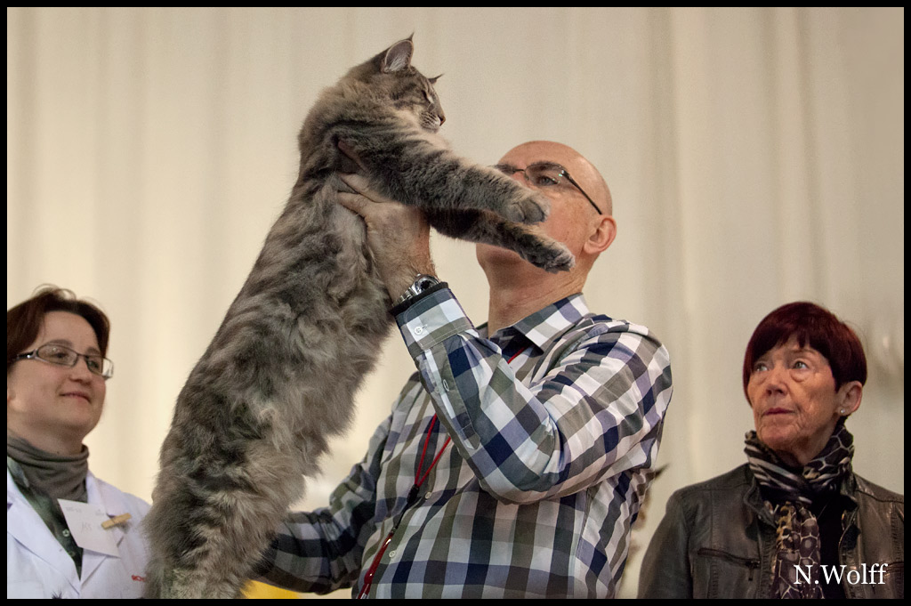 hotshot5.jpg - Wonderwoods Hot Shot, 6/10 mois