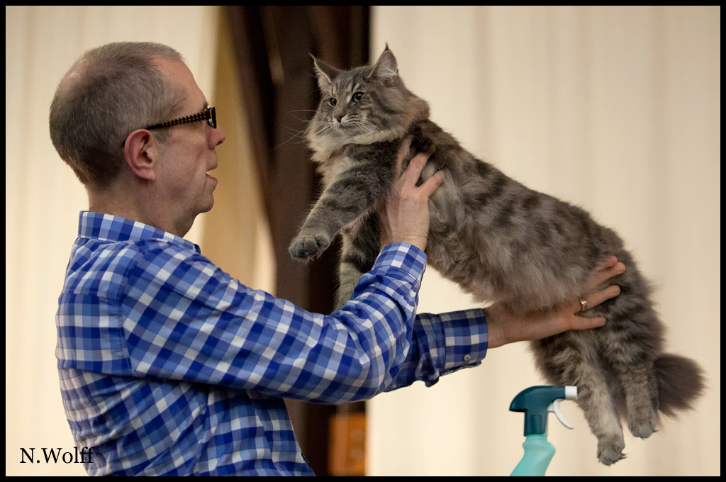 hotshot6.jpg - Wonderwoods Hot Shot, 6/10 mois