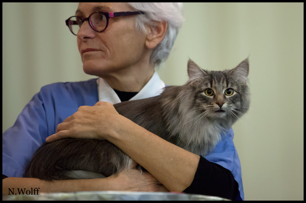 inconnu.jpg - Inconnue