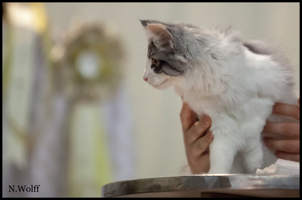 inconnu1.jpg - Inconnue