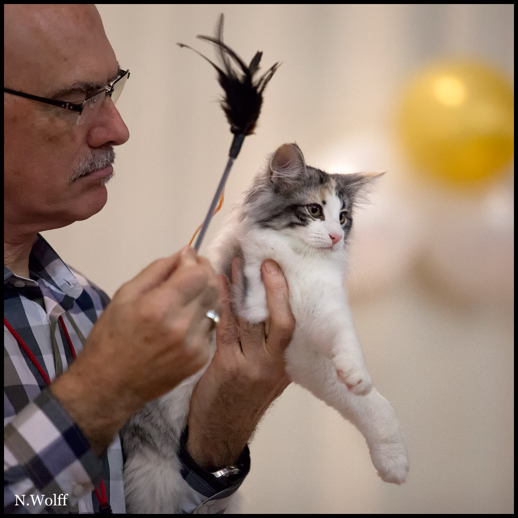 inconnu2.jpg - Inconnue