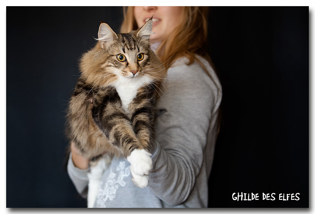 ikatz2.jpg - Ikatz de Sigriou, mâle neutre, nominé au BIS le dimanche 