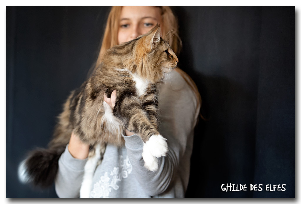 ikatz3.jpg - Ikatz de Sigriou, mâle neutre, nominé au BIS le dimanche 