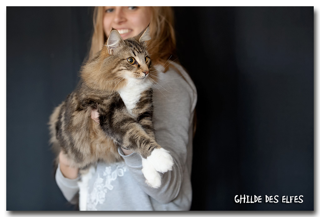 ikatz4.jpg - Ikatz de Sigriou, mâle neutre, nominé au BIS le dimanche 